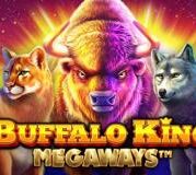 Buffalo King Megaways